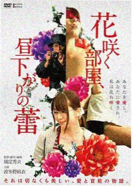 汉江之夜 韩国灾难剧情电影
